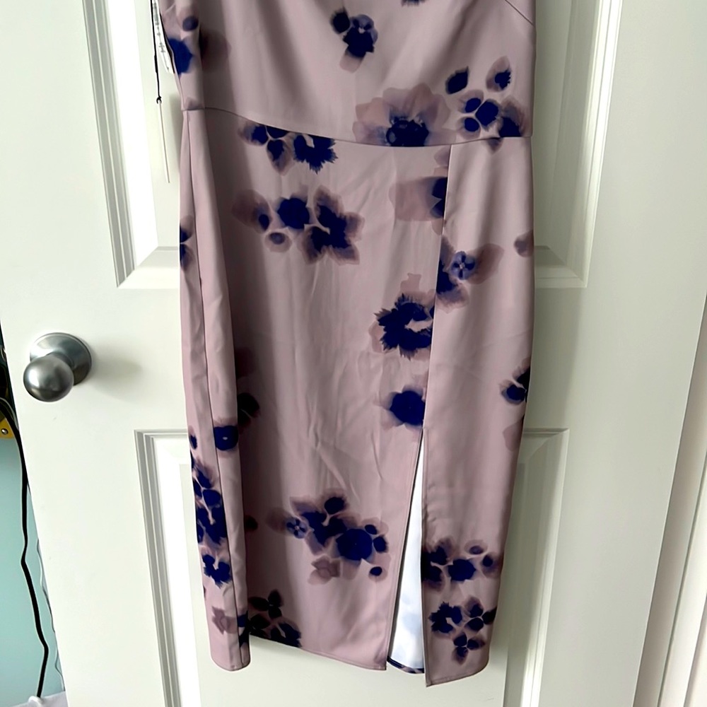 Babaton Slip Dress